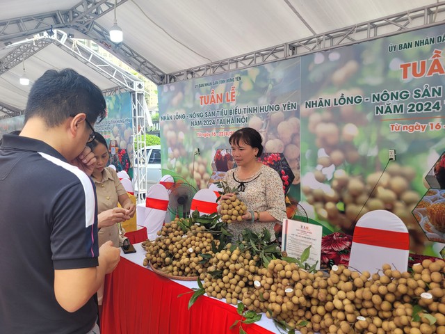 Đưa nhãn lồng Hưng Yên về Hà Nội với giá 'dùng thử', chưa đầy 30.000 đồng/kg, quả to tròn, mọng nước- Ảnh 2.