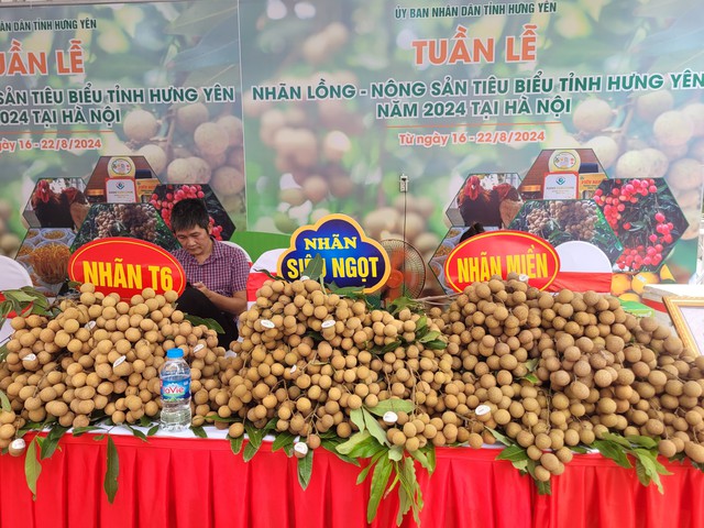 Đưa nhãn lồng Hưng Yên về Hà Nội với giá 'dùng thử', chưa đầy 30.000 đồng/kg, quả to tròn, mọng nước- Ảnh 3.