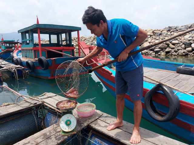 Đặc sản mực nhảy Hà Tĩnh nức tiếng vì nhảy tanh tách, nhấp nháy, ăn béo, giòn, ngọt và cực ngon!- Ảnh 4.