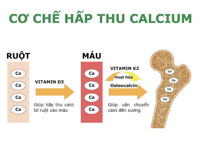 Vitamin D3 cho trẻ em, bạn đã bổ sung đúng cách chưa? - Ảnh 2.