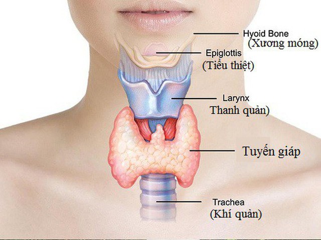 Cách phòng ngừa bệnh lý về tuyến giáp