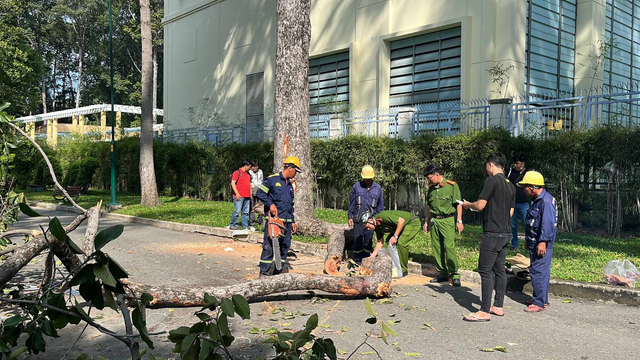 Tin sáng 10/8: Chân dung nam thanh niên hỗ trợ cứu tài xế ô tô trên cầu Phú Mỹ; Vì sao một số trường hợp chưa nhận được lương hưu, trợ cấp BHXH theo lịch?- Ảnh 4.