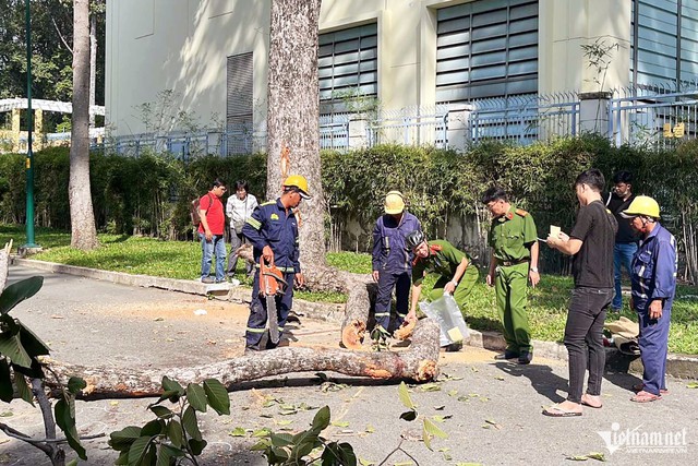 Tin mới nhất vụ cành cây rơi đè 5 người thương vong ở công viên Tao Đàn - Ảnh 3.