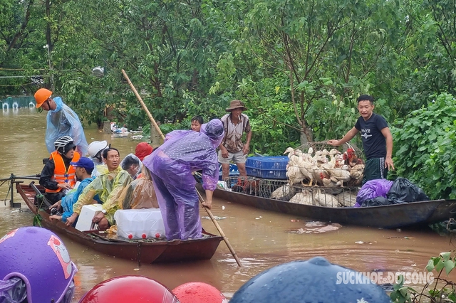 MS 954: Báo Sức khỏe và Đời sống kêu gọi chung tay cứu trợ đồng bào miền Bắc bị ảnh hưởng mưa lũ- Ảnh 4.