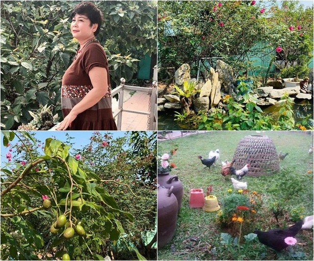 NSND Minh Hằng nghỉ hưu: Sống trầm lặng ở trang trại 20.000m2 - Ảnh 8.
