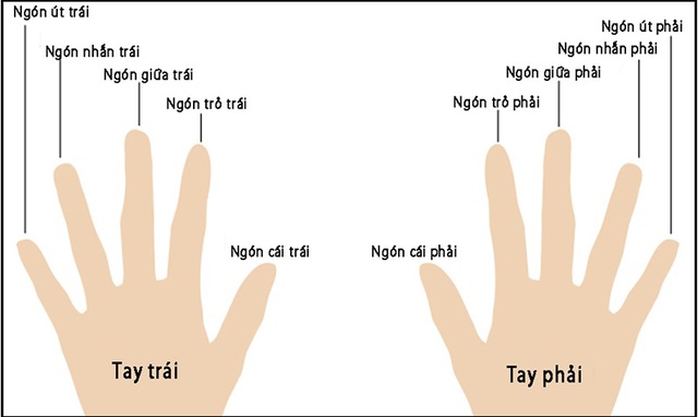 Ý nghĩa phong thủy các ngón tay đeo nhẫn cho nam và nữ - Ảnh 1.