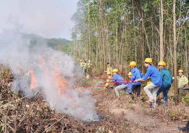 Nam giáo viên tử vong khi cùng người thân lên rừng đốt dọn thực bì- Ảnh 1.