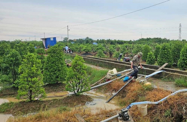 Sau bão số 3: Các địa phương tập trung tái thiết sản xuất, kinh doanh như thế nào?- Ảnh 2.