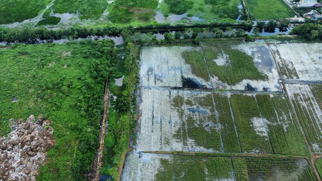 Hình ảnh 'kinh hoàng' xung quanh bãi chôn lấp rác của Công ty CP Môi trường Nam Định- Ảnh 5.