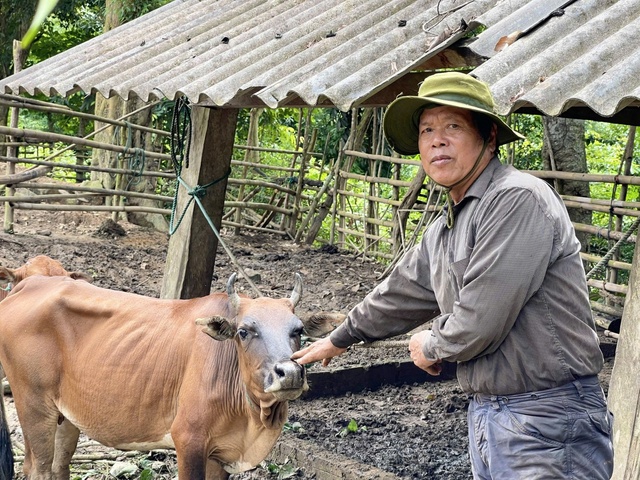 Người Ma Coong từ việc lo cái ăn hằng ngày nay đã mua ô tô 'xịn' về bản- Ảnh 2.