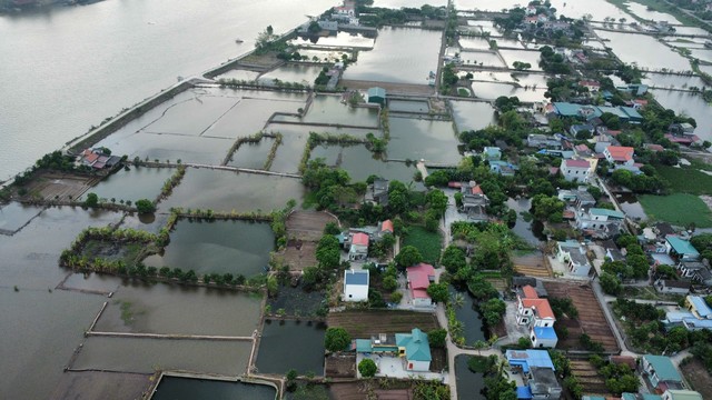 Thiệt hại nặng nề sau bão số 3, tỉnh Nam Định bắt đầu công cuộc phục hồi nông nghiệp - Ảnh 1.