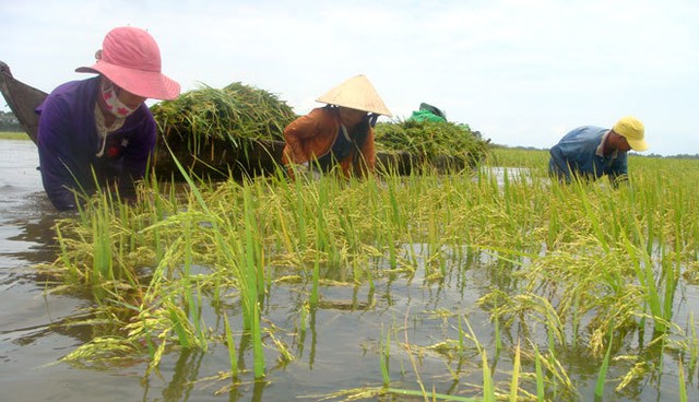 chính sách hỗ trợ