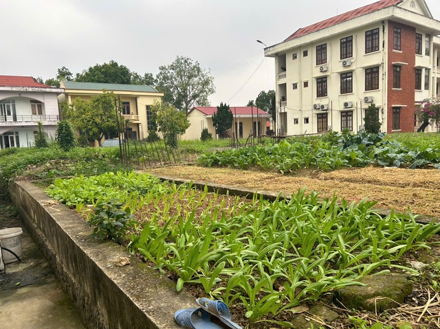 Thanh Hóa: Trung tâm hội nghị dở dang vì nhà tài trợ gặp khó- Ảnh 1.