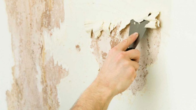 Cách xử lý triệt để chống ẩm mốc tường, sàn nhà mùa mưa - Ảnh 4.