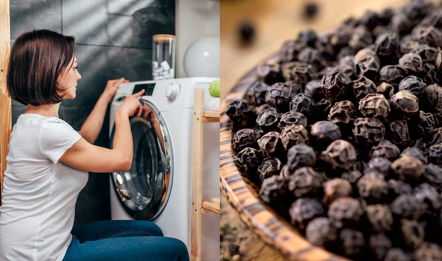 Công dụng khi cho tiêu đen vào máy giặt không phải ai cũng biết - Ảnh 1. Công dụng khi cho tiêu đen vào máy giặt không phải ai cũng biết - Ảnh 1.