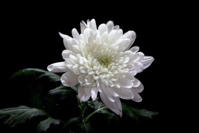 Ngày sinh Âm lịch của người luôn khiến gia đình tự hào - Ảnh 2.