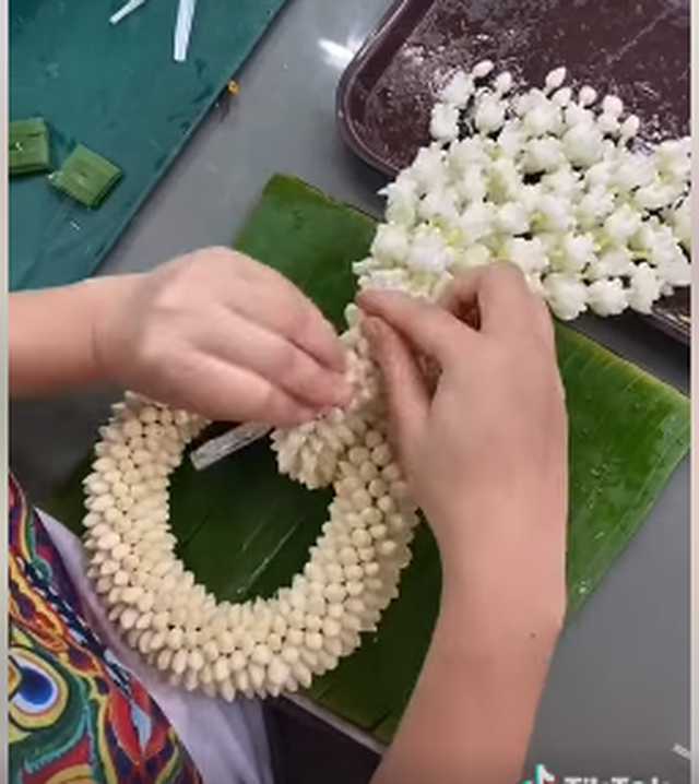 Giải nỗi oan lẳng lơ cho hoa Nhài và hương thơm của sự thanh khiết, an yên, may mắn - Ảnh 4. Giải nỗi oan lẳng lơ cho hoa Nhài và hương thơm của sự thanh khiết, an yên, may mắn - Ảnh 4.