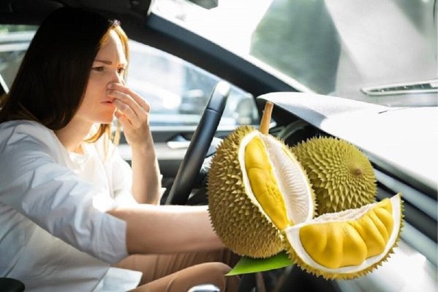 Cách khử mùi sầu riêng trên xe hơi nhanh nhất - Ảnh 1. Cách khử mùi sầu riêng trên xe hơi nhanh nhất - Ảnh 1.
