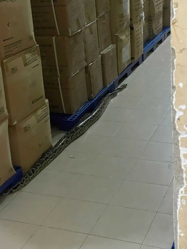 Tin sáng 20/10: Miền Bắc chuyển rét khi đón gió lạnh đầu mùa; Nghiên cứu đổi mới cơ chế tiền lương - Ảnh 4. Tin sáng 20/10: Miền Bắc chuyển rét khi đón gió lạnh đầu mùa; Nghiên cứu đổi mới cơ chế tiền lương - Ảnh 4.