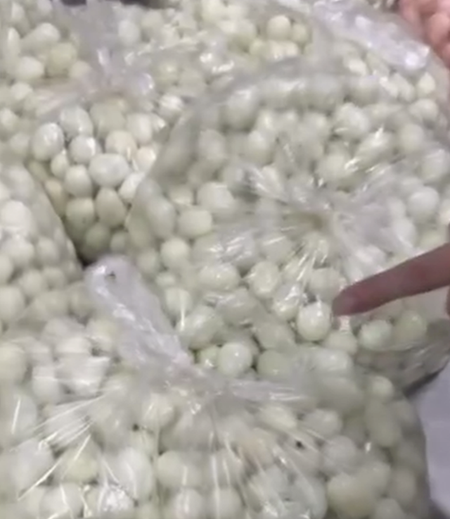 Bảo vệ người tiêu dùng: Đảm bảo thực phẩm an toàn tại trường Tiểu học Cự Khê - Ảnh 2. Bảo vệ người tiêu dùng: Đảm bảo thực phẩm an toàn tại trường Tiểu học Cự Khê - Ảnh 2.