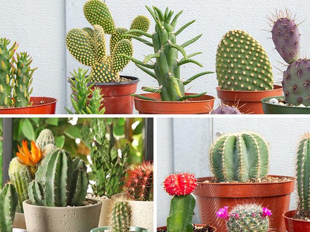 Mẹo hóa giải thị phi tăng cường vận may tài khí cho bản thân - Ảnh 1. Mẹo hóa giải thị phi tăng cường vận may tài khí cho bản thân - Ảnh 1.