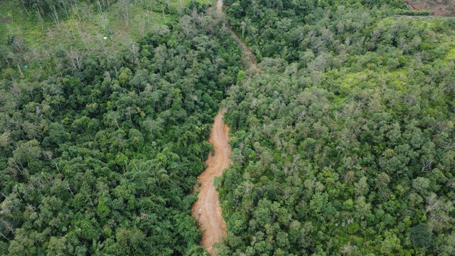 Vụ việc Công ty TNHH Ngọc Linh vi phạm đất rừng ở Thái Nguyên nghiêm trọng - Ảnh 2. Vụ việc Công ty TNHH Ngọc Linh vi phạm đất rừng ở Thái Nguyên nghiêm trọng - Ảnh 2.