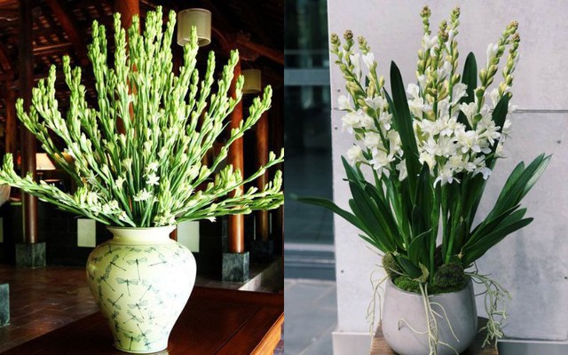 Bàn thờ Thần tài cắm hoa gì để mang lại tài lộc - Ảnh 3. Bàn thờ Thần tài cắm hoa gì để mang lại tài lộc - Ảnh 3.