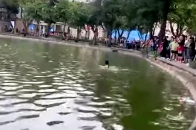 Hà Nội: Cô gái cởi bỏ quần áo, nhảy xuống hồ Hoàn Kiếm rồi đuối nước tử vong - Ảnh 1. Hà Nội: Cô gái cởi bỏ quần áo, nhảy xuống hồ Hoàn Kiếm rồi đuối nước tử vong - Ảnh 1.