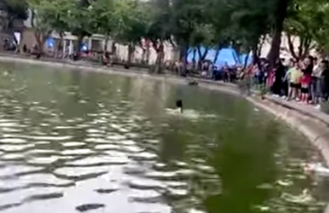 Xác định nguyên nhân và danh tính cô gái tử vong ở hồ Hoàn Kiếm - Ảnh 2.