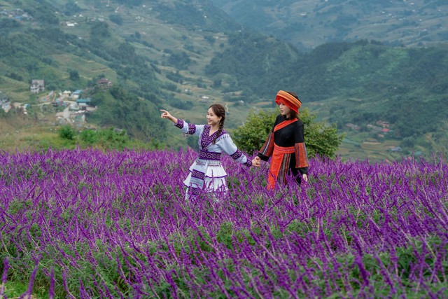 Lạc vào 'miền cổ tích' trên đỉnh Fansipan mùa mây - Ảnh 4. Lạc vào 'miền cổ tích' trên đỉnh Fansipan mùa mây - Ảnh 4.