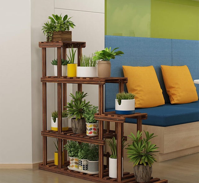 Cách trang trí cây cảnh trong phòng khách đẹp và ấn tượng - Ảnh 3.