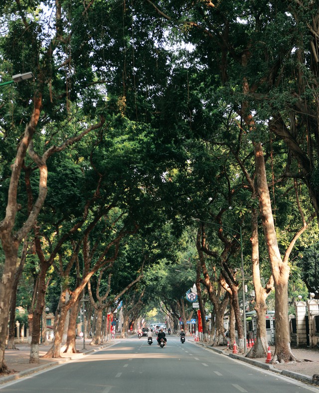 Ngắm phố Phan Đình Phùng trong những ngày cuối thu. - Ảnh 1. Ngắm phố Phan Đình Phùng trong những ngày cuối thu. - Ảnh 1.