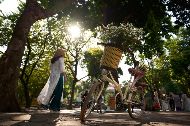 Ngắm phố Phan Đình Phùng trong những ngày cuối thu. - Ảnh 3. Ngắm phố Phan Đình Phùng trong những ngày cuối thu. - Ảnh 3.