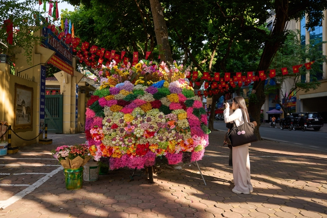 Ngắm phố Phan Đình Phùng trong những ngày cuối thu. - Ảnh 5. Ngắm phố Phan Đình Phùng trong những ngày cuối thu. - Ảnh 5.