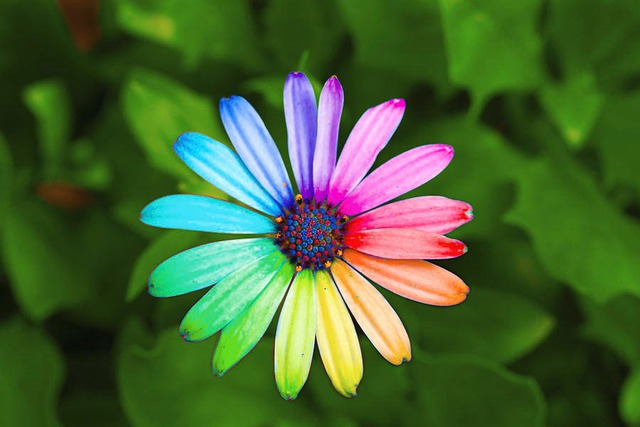 Ngày sinh Âm lịch của người nỗ lực không ngừng: Càng về sau càng thịnh vượng - Ảnh 2. Ngày sinh Âm lịch của người nỗ lực không ngừng: Càng về sau càng thịnh vượng - Ảnh 2.