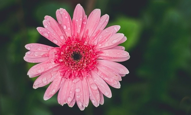 Ngày sinh Âm lịch của người nỗ lực không ngừng: Càng về sau càng thịnh vượng - Ảnh 3. Ngày sinh Âm lịch của người nỗ lực không ngừng: Càng về sau càng thịnh vượng - Ảnh 3.