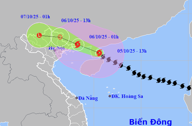 bao-1759670686201811043772.png