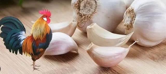 Công dụng bất ngờ của vỏ tỏi trong đời sống hàng ngày - Ảnh 1. Công dụng bất ngờ của vỏ tỏi trong đời sống hàng ngày - Ảnh 1.