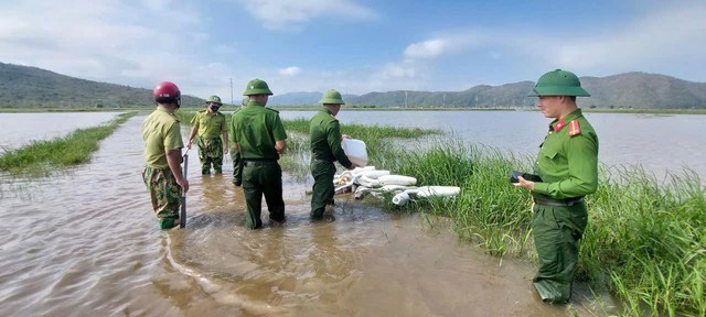 Hà Tĩnh ngăn chặn nạn bẫy bắt chim trời - Ảnh 2. Hà Tĩnh ngăn chặn nạn bẫy bắt chim trời - Ảnh 2.