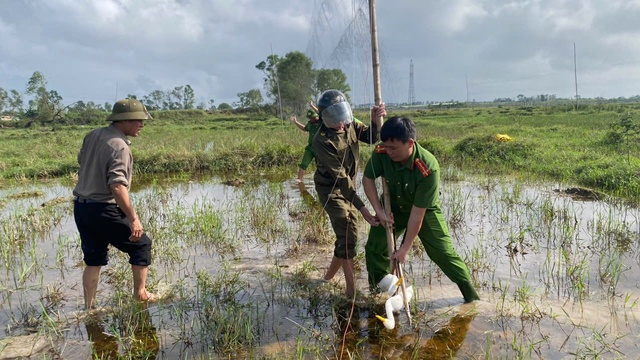 Hà Tĩnh ngăn chặn nạn bẫy bắt chim trời - Ảnh 1. Hà Tĩnh ngăn chặn nạn bẫy bắt chim trời - Ảnh 1.