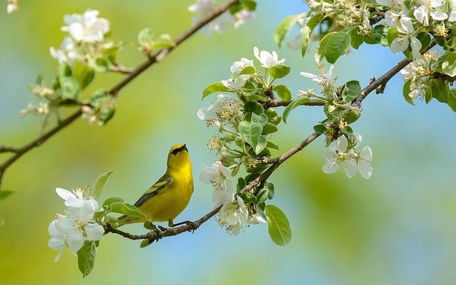 5 số cuối ngày sinh Âm lịch đặc biệt tốt lành: Càng lớn tuổi càng nhiều phúc - Ảnh 1.