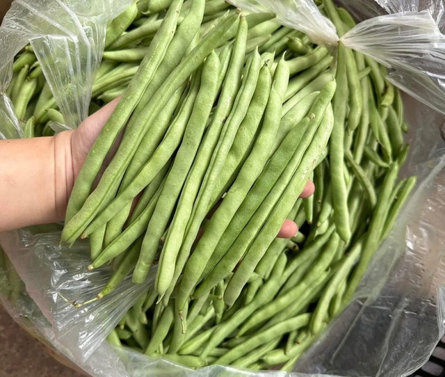 Rau mùa đông giúp ổn định đường huyết và cách chế biến đậu cove ngon miệng - Ảnh 2.