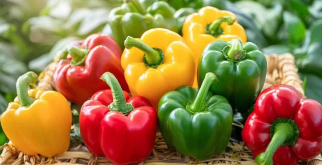 Loại rau củ quả ăn vừa no lâu, vừa cung cấp nhiều vitamin, khoáng chất trong mùa đông - Ảnh 4. Loại rau củ quả ăn vừa no lâu, vừa cung cấp nhiều vitamin, khoáng chất trong mùa đông - Ảnh 4.