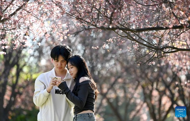 Những cặp đôi cung hoàng đạo dễ phải lòng nhau ngay từ khoảnh khắc lần đầu gặp - Ảnh 1. Những cặp đôi cung hoàng đạo dễ phải lòng nhau ngay từ khoảnh khắc lần đầu gặp - Ảnh 1.