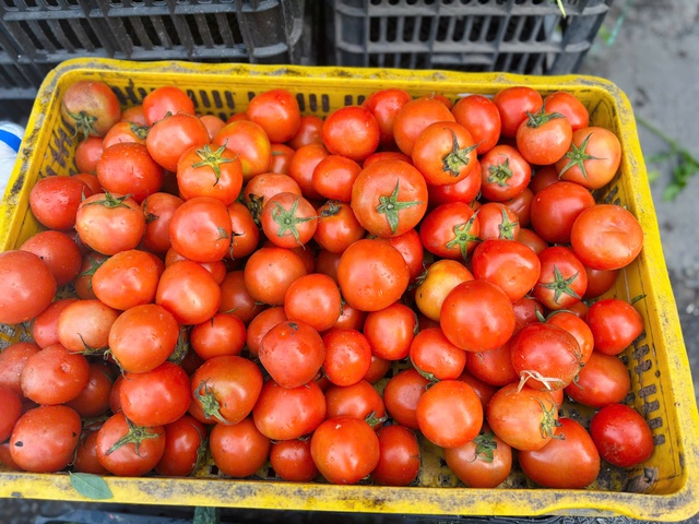 Giá rau Hà Nội tăng cao sau bão ảnh hưởng bữa cơm gia đình thế nào? - Ảnh 2. Giá rau Hà Nội tăng cao sau bão ảnh hưởng bữa cơm gia đình thế nào? - Ảnh 2.