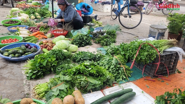 Gia đình thu nhập thấp và cách xoay xở khi rau xanh trở thành xa xỉ - Ảnh 1. Gia đình thu nhập thấp và cách xoay xở khi rau xanh trở thành xa xỉ - Ảnh 1.