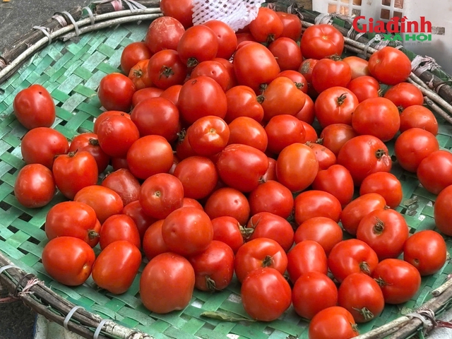 Gia đình thu nhập thấp và cách xoay xở khi rau xanh trở thành xa xỉ - Ảnh 2. Gia đình thu nhập thấp và cách xoay xở khi rau xanh trở thành xa xỉ - Ảnh 2.