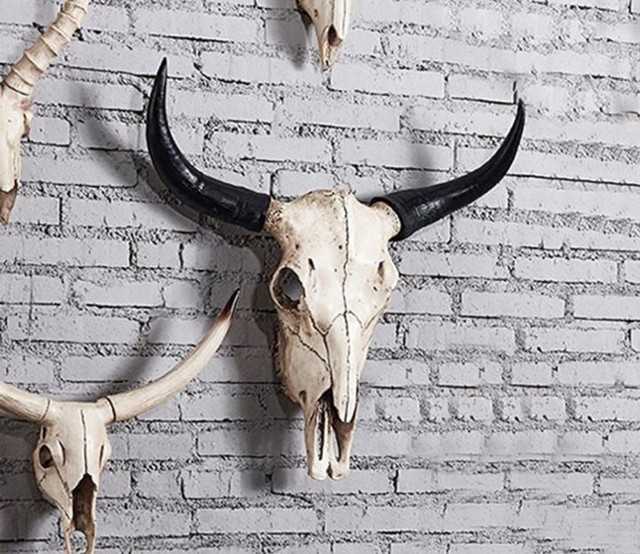 Đây là những vật phẩm nhà giàu kiêng kỵ không bao giờ đặt ở phòng khách - Ảnh 2.