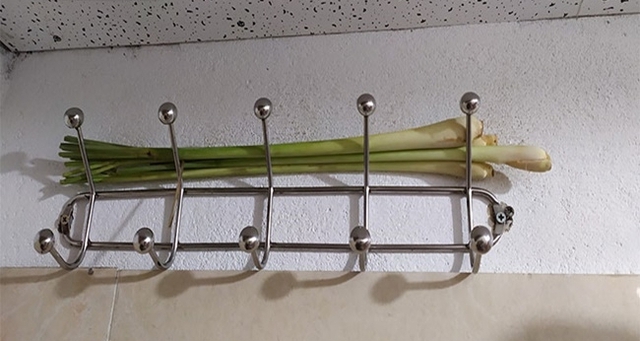 Cách khử mùi hôi trong nhà vệ sinh đơn giản, hiệu quả - Ảnh 2.