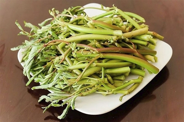 Bí quyết chọn rau ăn lẩu mắm chuẩn vị miền Tây, giúp cân bằng dinh dưỡng - Ảnh 2.